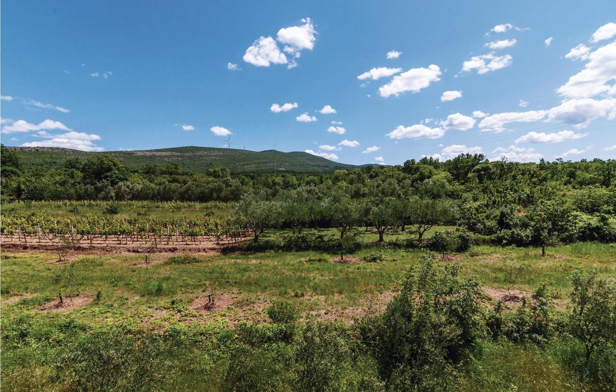 Gorgeous Apartment In Ribnica-Krusevo With Wifi Anić Buitenkant foto